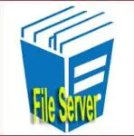What is File Server: Definition, Types, Examples, Advantages, Disadvantages