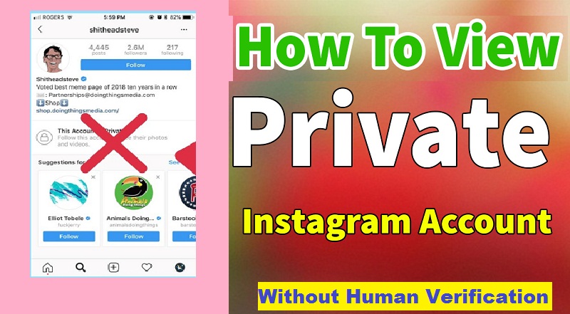 how to view private instagram profiles no survey 2018