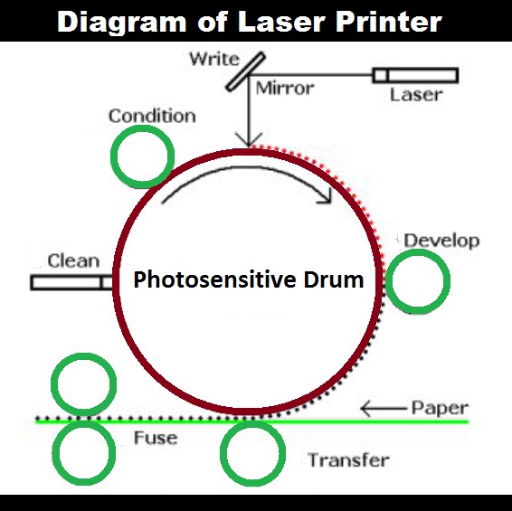 How Do Laser Printers Work The Laser Printing Process  Toner Buzz