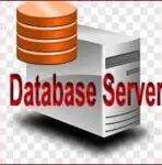 What is Database Server: Definition, Types, Examples, Functions, Working