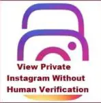 How to View Private Instagram Account Without Human Verification? 45 Private Instagram Viewer Apps