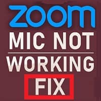 Zoom Microphone Not Working Windows 10