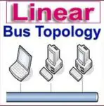 Linear Bus Topology: Diagram, Advantages, Disadvantage, & Examples!!