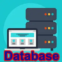 What is Database