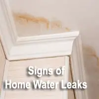 signs of home water leaks
