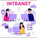 What is Intranet