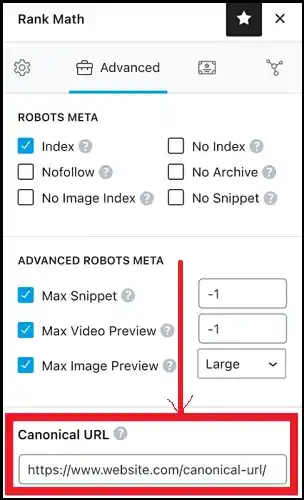 What is Canonical Tag 
